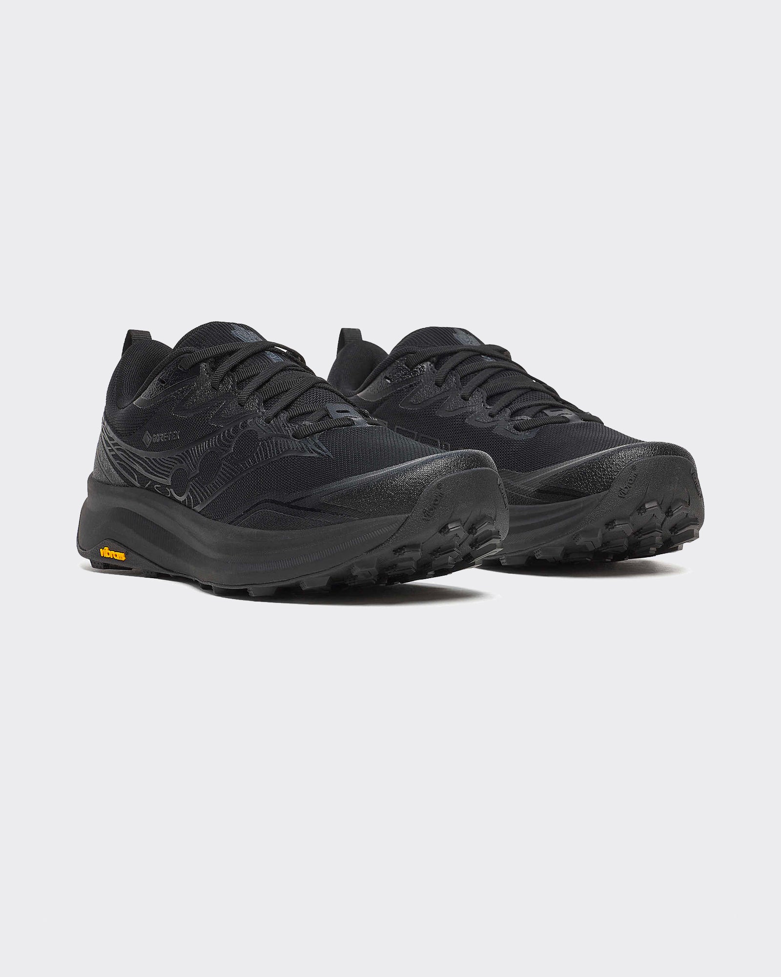 Sneakers Peregrine 16 GTX Triple Black