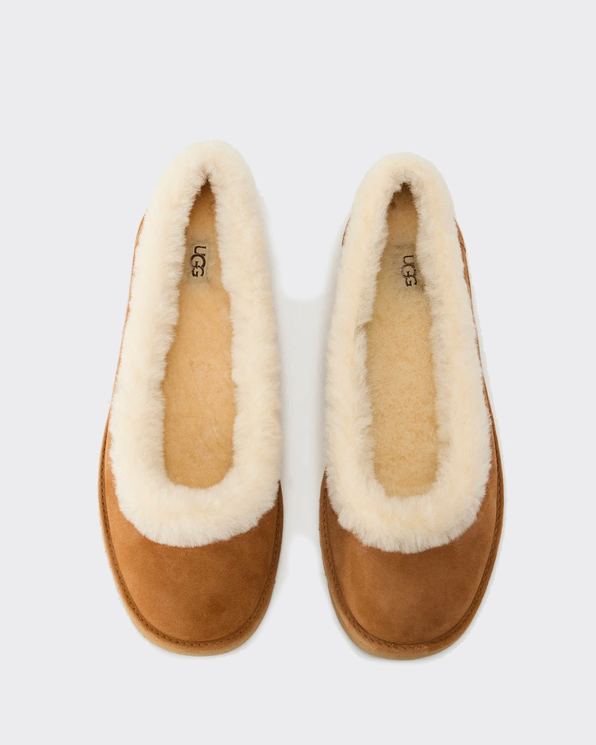 Ballet W Zora Flat Chestnut