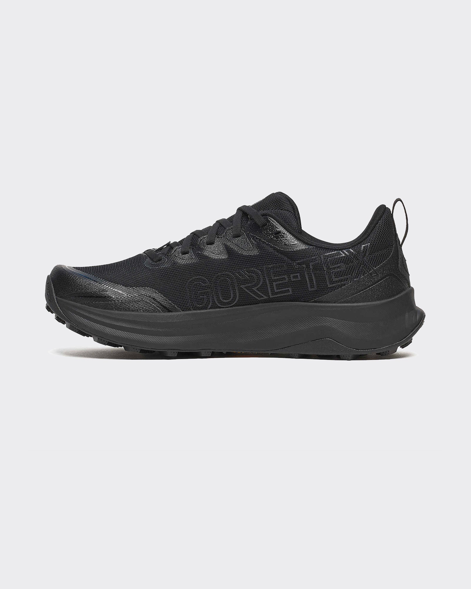 Sneakers Peregrine 16 GTX Triple Black