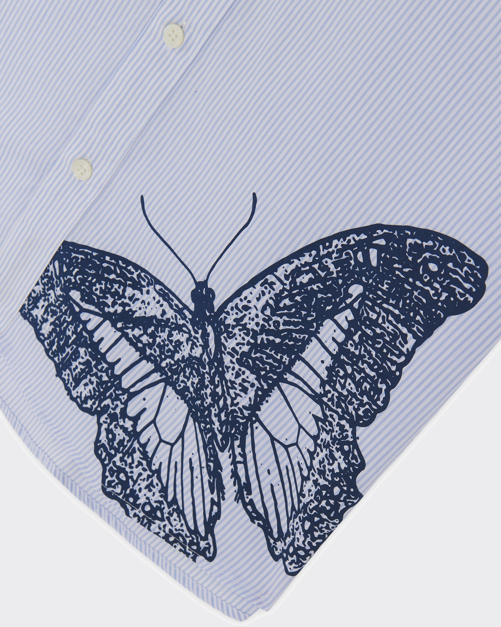 Camicia Double Butterfly Stripes Light Blue