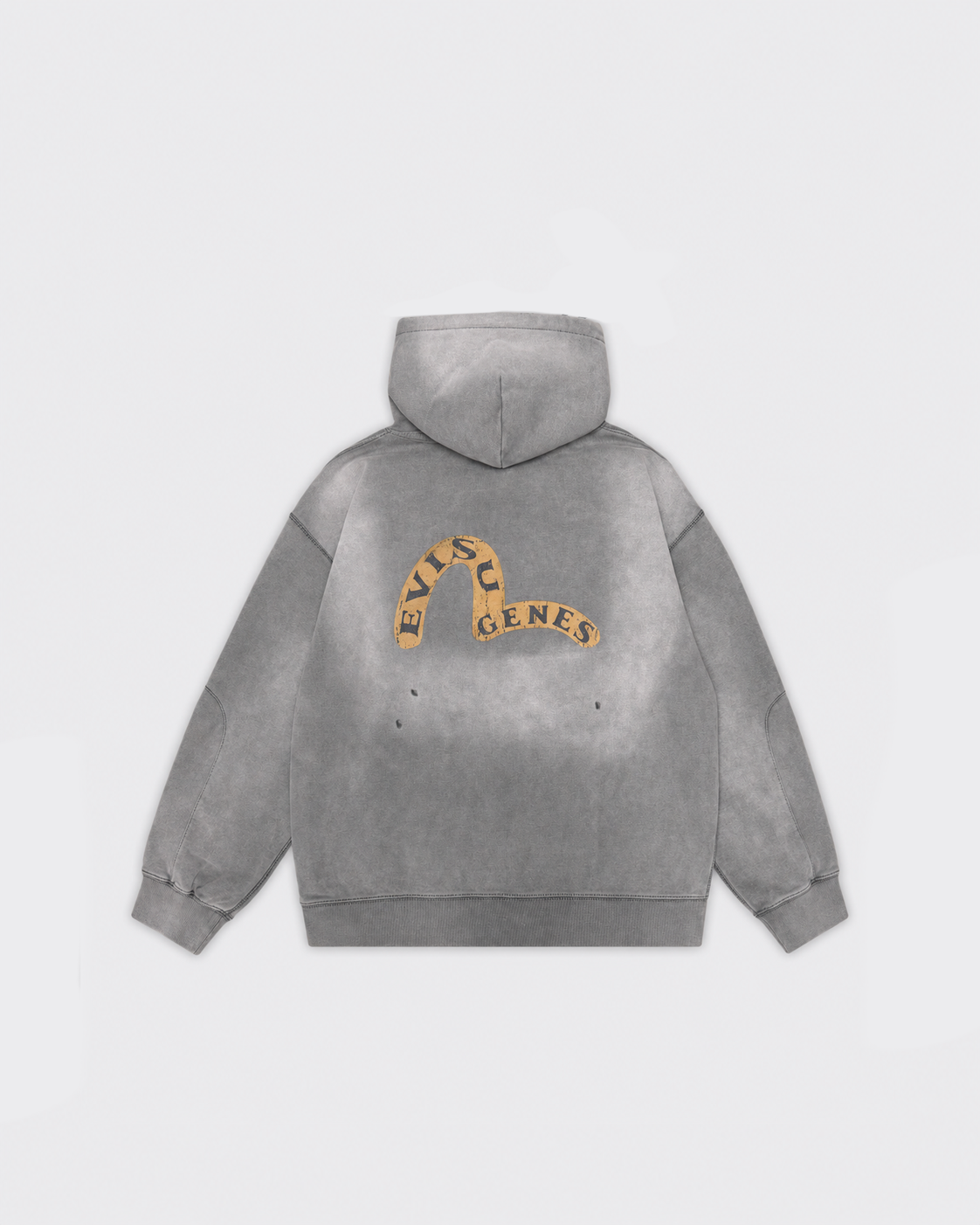 Felpa Con Cappuccio Genes Logo Zip-Up Grigia