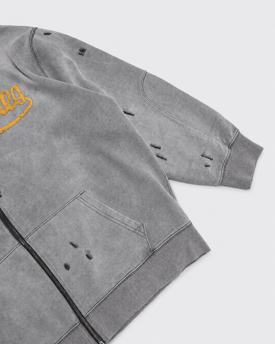 Felpa Con Cappuccio Genes Logo Zip-Up Grigia