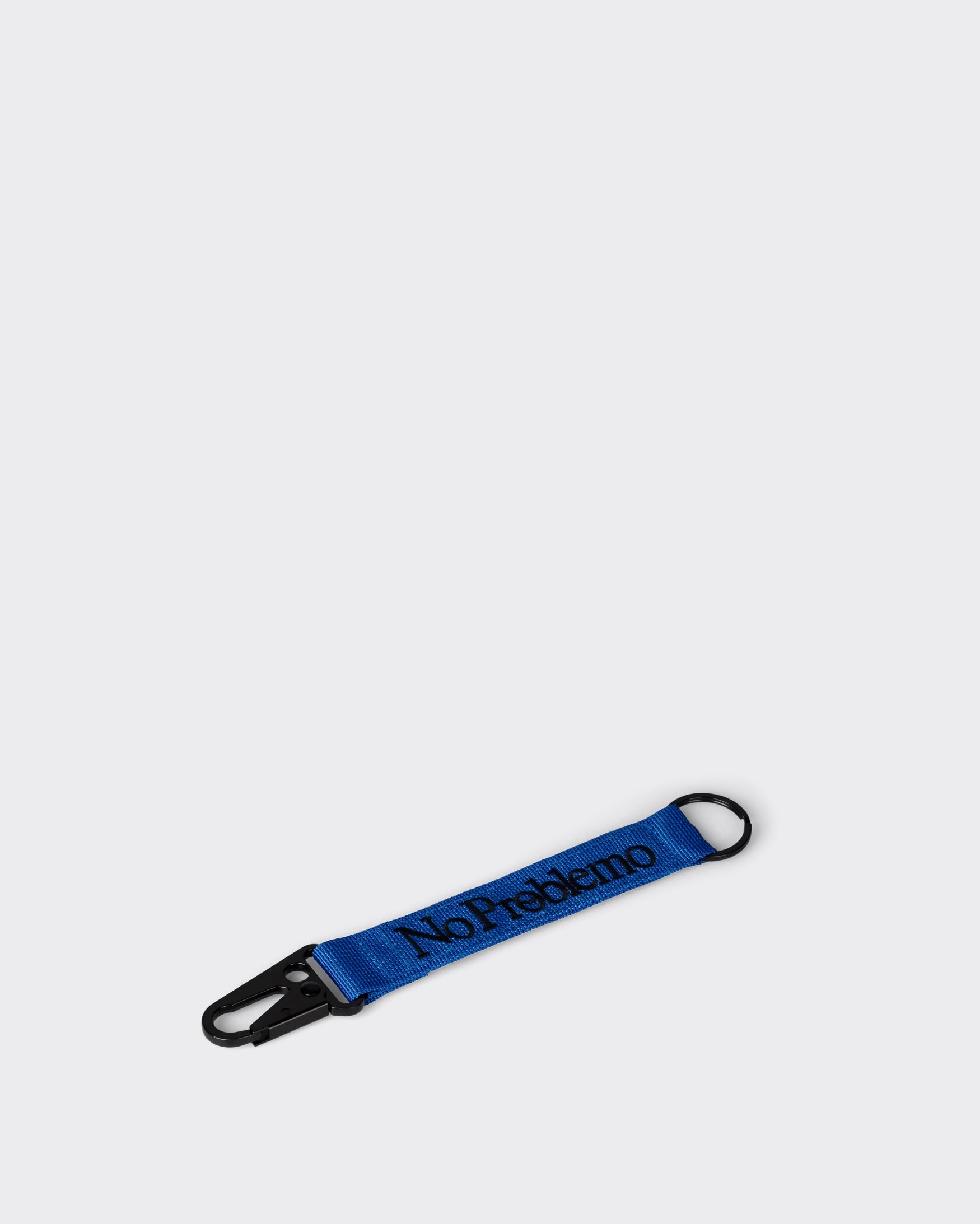 Keychain Carabiner Mini Blue Problem