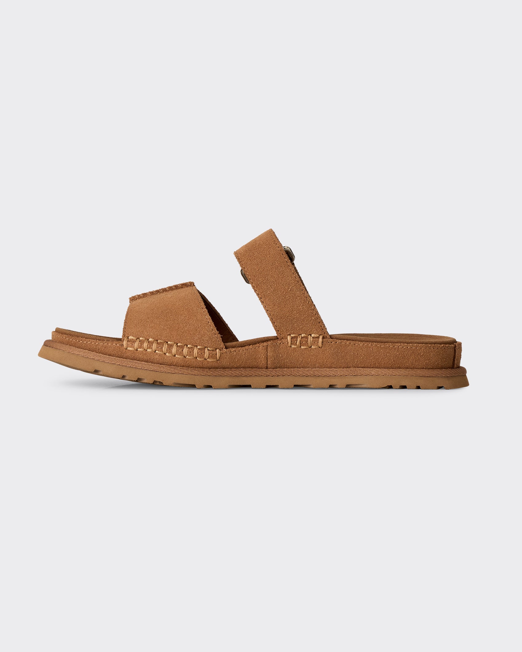 Slide W Goldengaze Chestnut