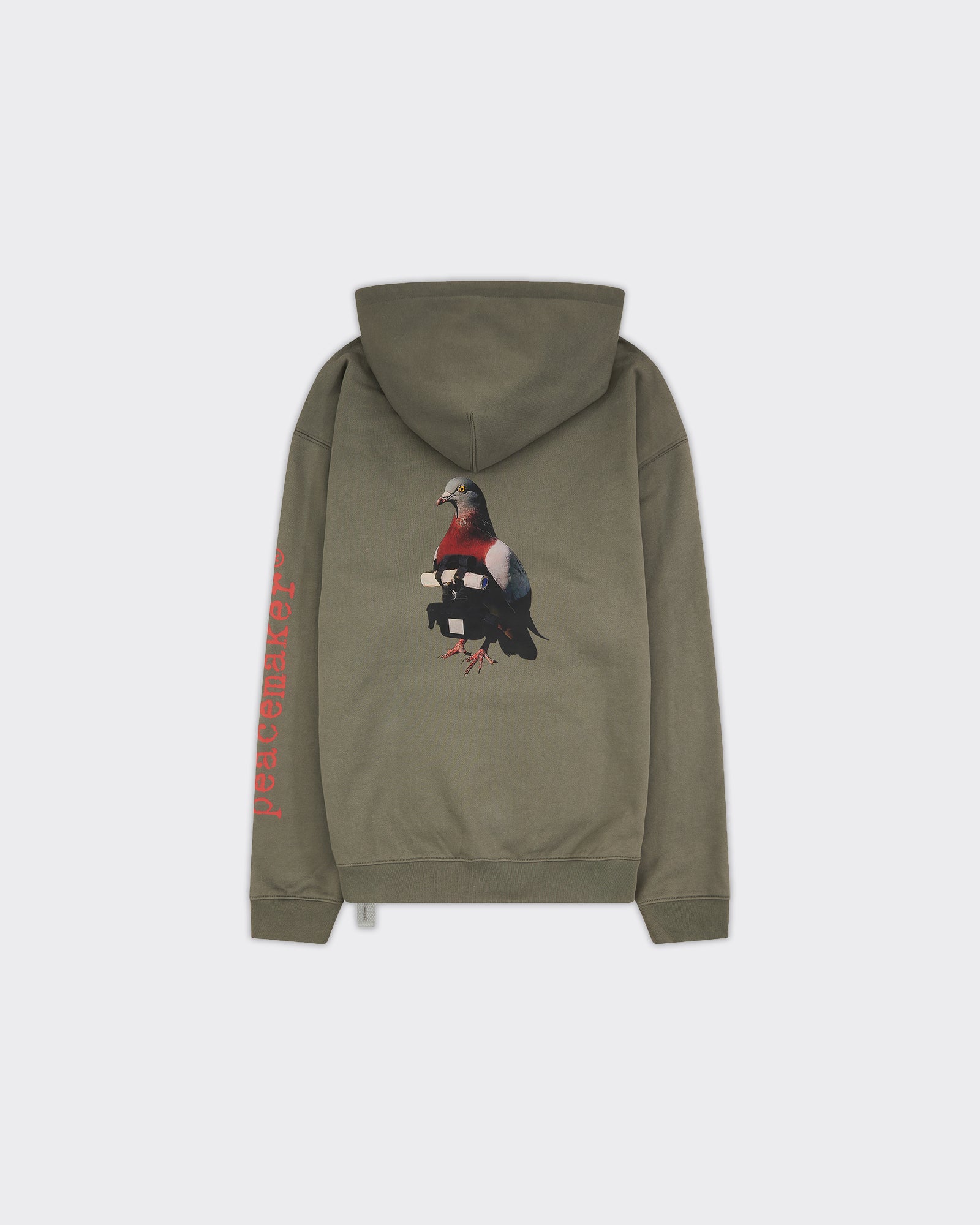 Felpa Con Cappuccio Loose Fit Pigeon Print Grey